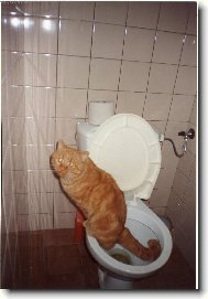 Dami�n slu���k