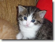 jedno z na�ich m�s��n�ch miminek