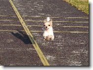 Kdy� se mi chce, m��u i let�t.