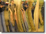 Dlouh� prsty maj� pr� jen zlod�ji?