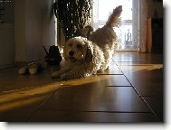 u��������