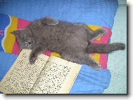 p�ed span�m....