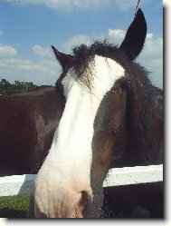 M� tich�  p��tel...