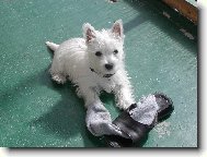 Boty m�m r�da =)