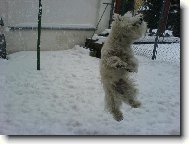 Hopl�