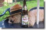 j� a pan��kovo pivo...