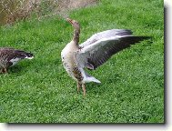 Mus�m se prot�hnout