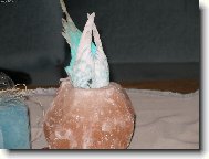 Pep��ek v soln� lamp�