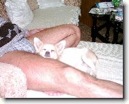 Monty sp�c�