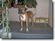 Nerou�ek