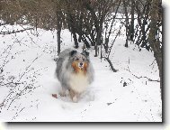 �eltie3