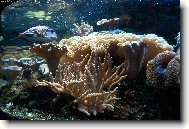 Podmo�sk� sv�t v Praze-Hole�ovic�ch