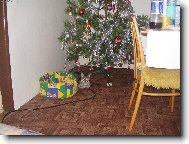 tO JSEM DOSTAL k Vanoc�m to se m�m.....:)