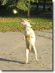 Chytaj�c� �mudla