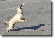 �mudla s m��kem