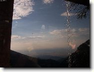 Fagara�