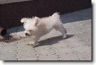 sportu ku zdrav�