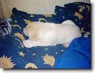 kone�n� sama