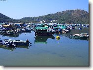 "b�rky" u p��stavu SOK KWU VAN na ostr�vku Lamma Island (Hong Kong)