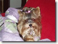 spink�m