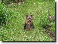 spink�m