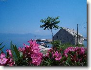 z pohledu trose�n�ka