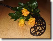 nejkr�sn�j�� d�rek k narozenin�m:)