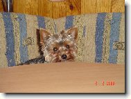 Bert�k