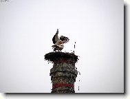 p��en� ��p�