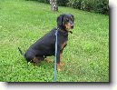 Slovensk� kopov
