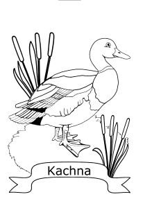 Omalov�nky k vytisknut�