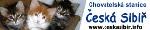 Chovatelska stanice ps�: �ESK� SIBI�