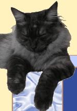 Chovatelska stanice ps�: KETOI CZ